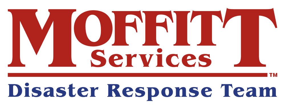 Moffitt Services DRT Wordmark Duotone